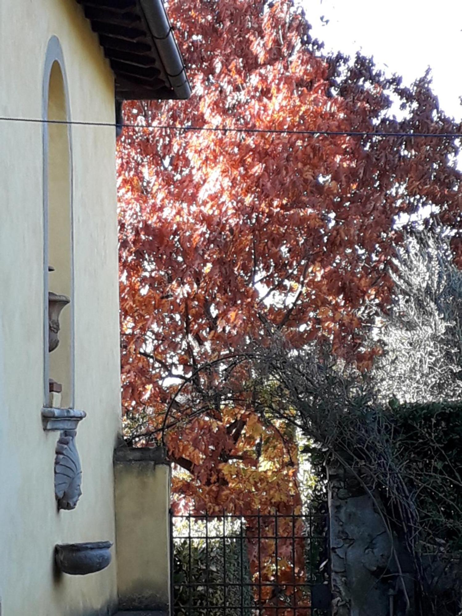 Villa Le Pergole- Firenze מראה חיצוני תמונה
